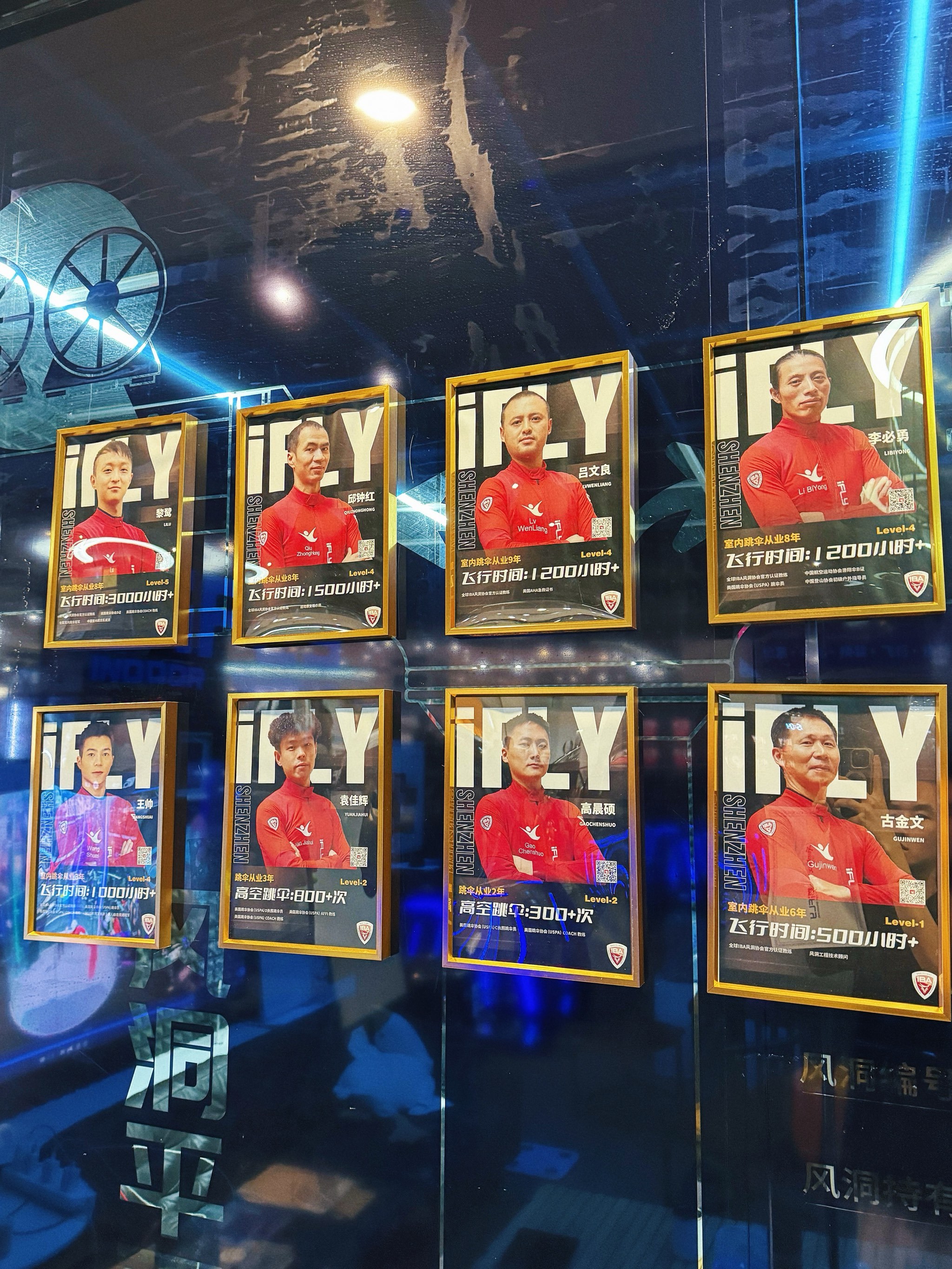 德甲美因茨vs多特蒙德